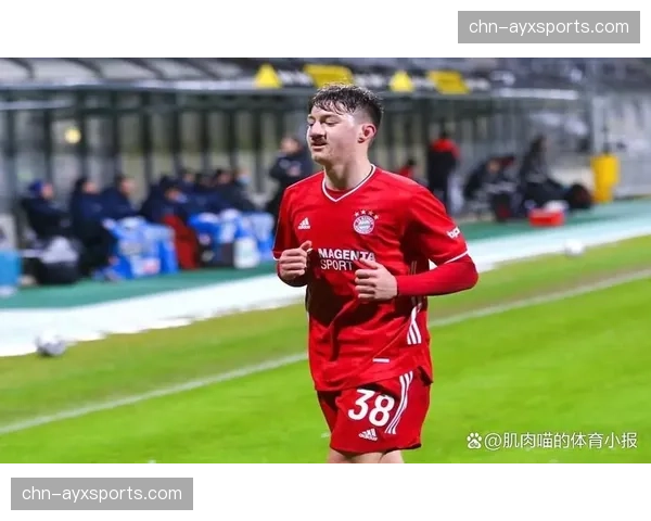 德甲冬窗转会盘点:保级区球队积极补强,豪门相对保守 德甲冬窗转会盘点:保级区球队积极补强,豪门相对保守